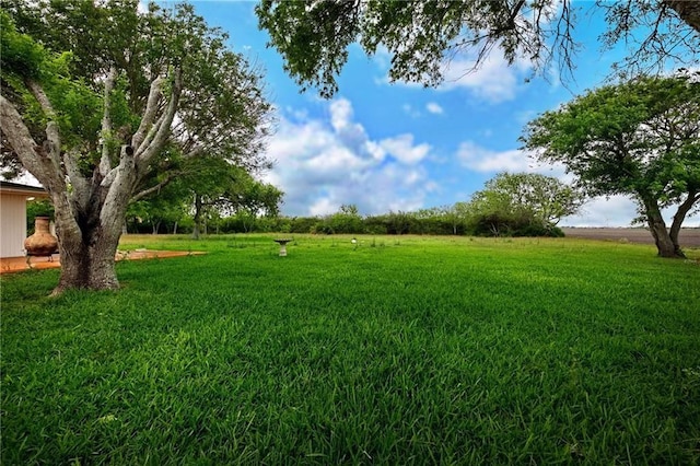 view of yard