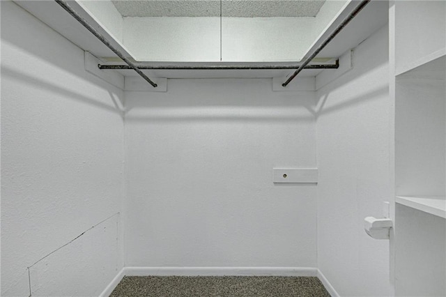 spacious closet featuring carpet flooring