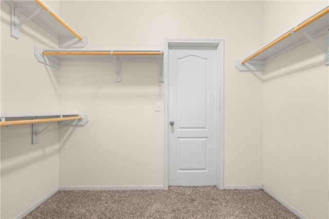 1733 Rhumba Trl, Corpus Christi, TX 78410 - walk in closet with carpet