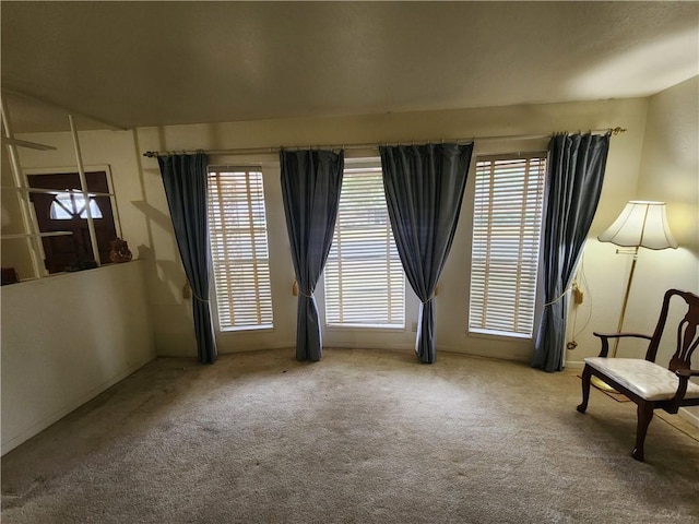 unfurnished room featuring carpet and a healthy amount of sunlight