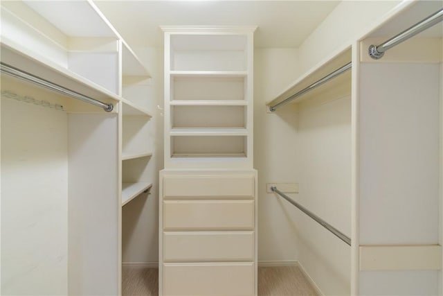 spacious closet featuring carpet