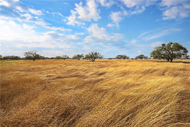 view of local wilderness featuring a rural view