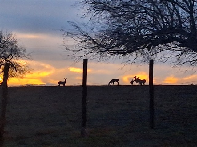 view of nature at dusk