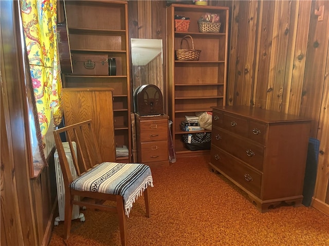 walk in closet featuring carpet