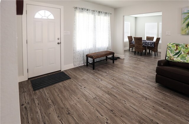 foyer entrance featuring wood-type flooring