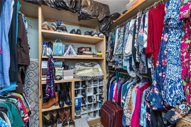 view of spacious closet