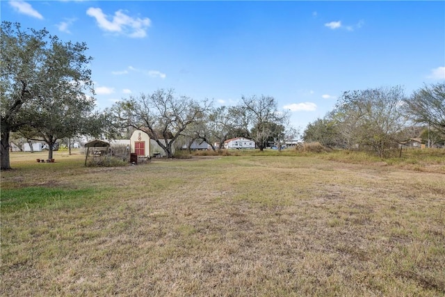 view of yard with a shed