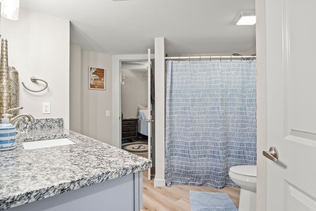 bathroom featuring wood-type flooring, toilet, vanity, and a shower with curtain