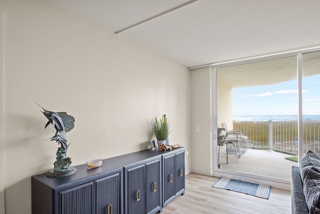 doorway featuring expansive windows and light hardwood / wood-style floors