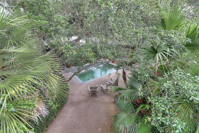 215 Oleander, Corpus Christi, TX 78404 - view of swimming pool featuring a pool