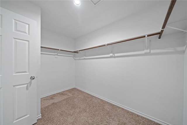 walk in closet featuring carpet