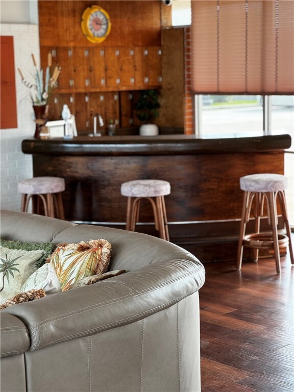 bar with dark hardwood / wood-style flooring