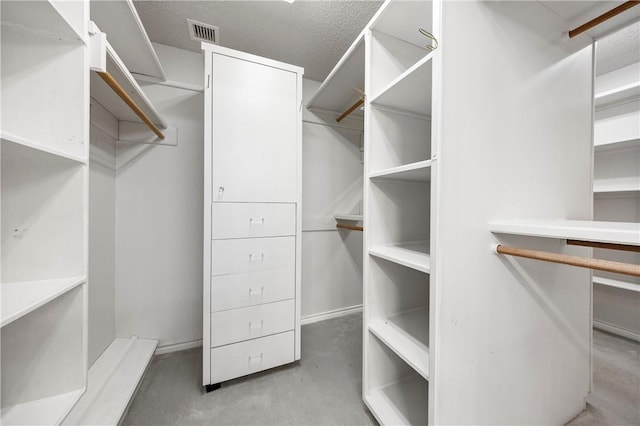 spacious closet with visible vents