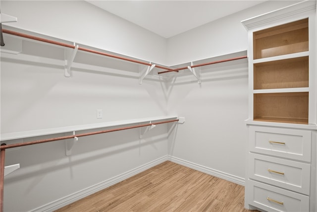 spacious closet with light wood-type flooring