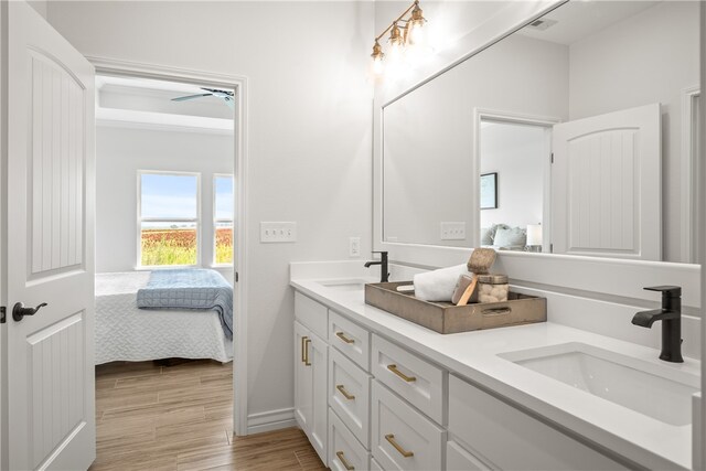 bathroom with vanity and wood-type flooring