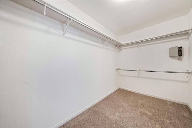 3606 Emory Dr, Corpus Christi, TX 78410 - walk in closet with carpet flooring