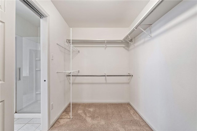 3606 Emory Dr, Corpus Christi, TX 78410 - walk in closet featuring carpet