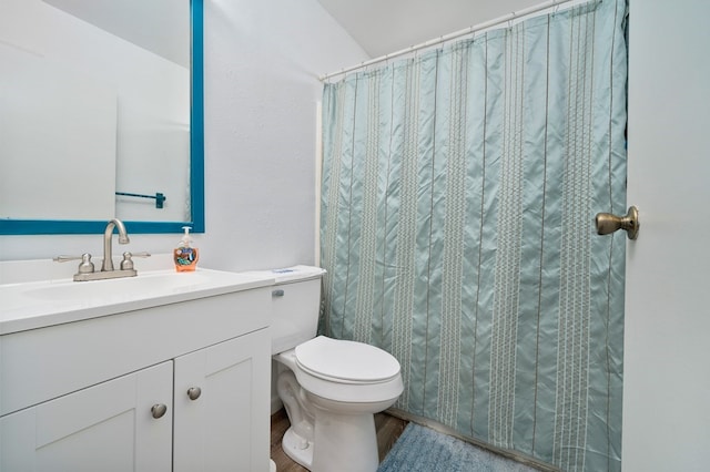 bathroom featuring vanity, toilet, and wood finished floors