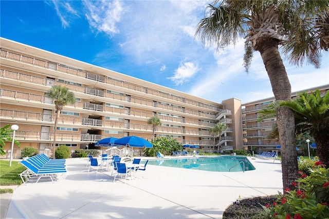 view of pool featuring a patio