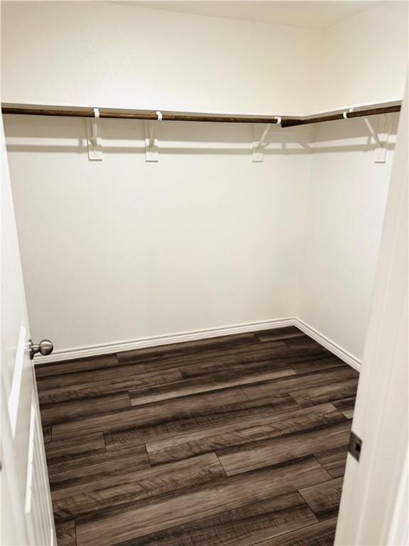 1353 Regents Park Ln, Corpus Christi, TX 78415 - walk in closet with dark wood-style flooring