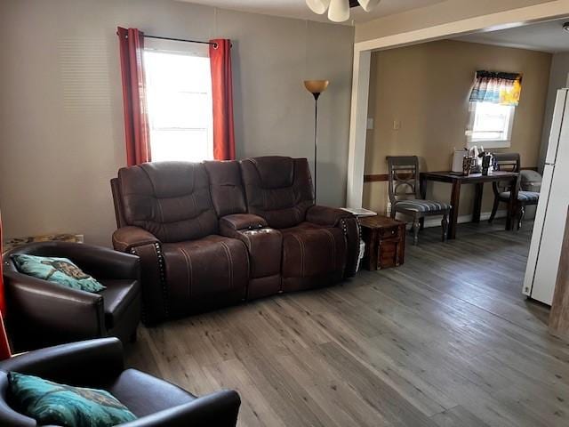 living room with ceiling fan and wood-type flooring