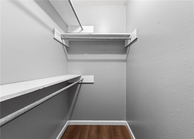 walk in closet featuring hardwood / wood-style floors