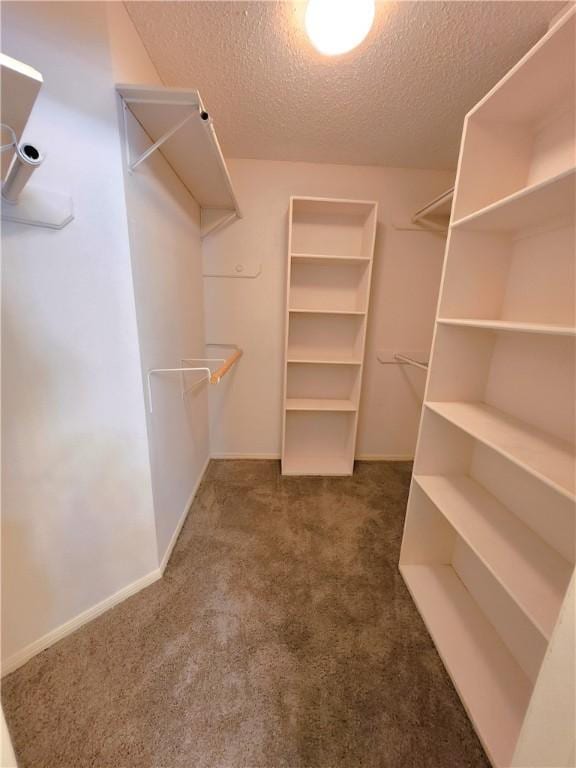 spacious closet with dark colored carpet