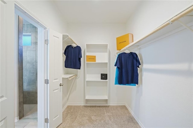 spacious closet featuring light carpet