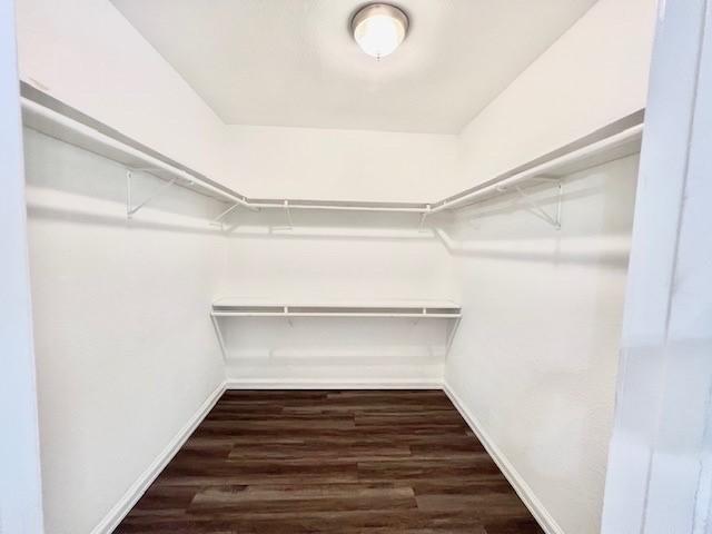 walk in closet featuring dark wood-type flooring