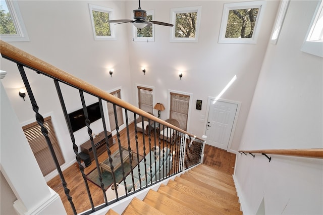 stairway with a towering ceiling and wood-type flooring