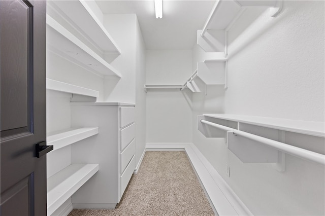 walk in closet with light colored carpet