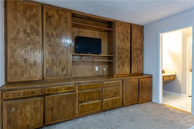 2413 Cricket Hollow St, Corpus Christi, TX 78414 - unfurnished living room featuring light carpet, a textured ceiling, and baseboards