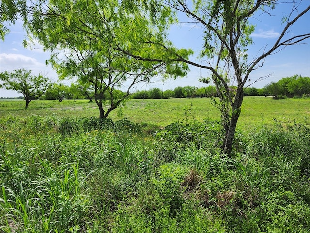 615 County Road 3053, Orange Grove TX, 78372 land for sale