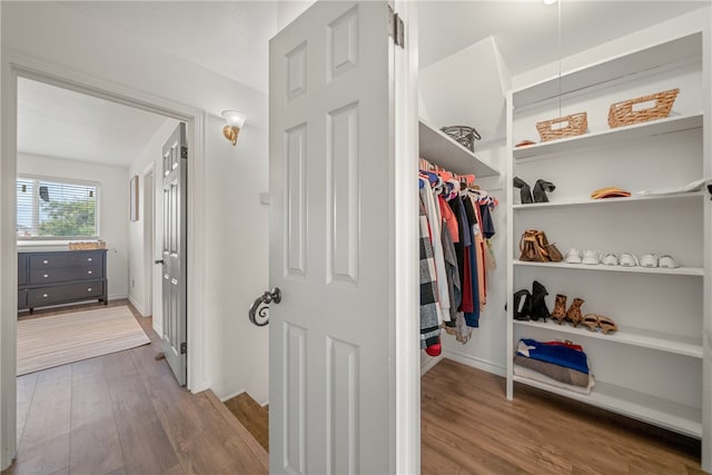 spacious closet with dark wood-type flooring