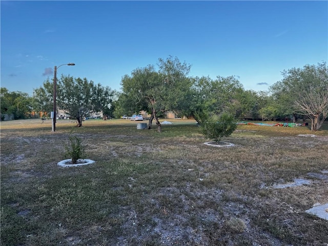 9131 Caroline, Corpus Christi, TX 78409 - photo 8