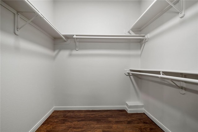 walk in closet featuring dark hardwood / wood-style flooring