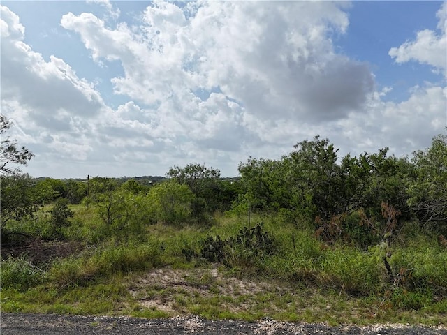 106 Navaho, Sandia, TX 78383