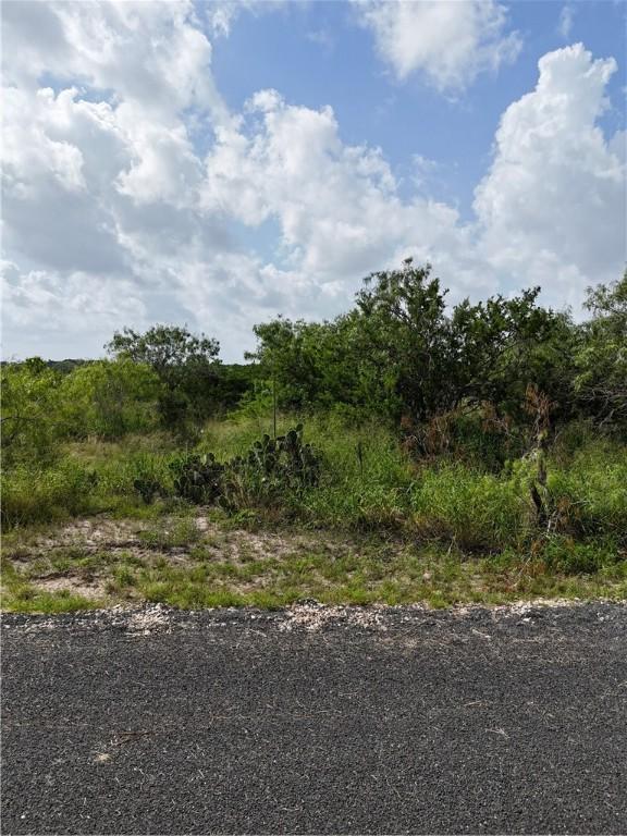 106 Navaho, Sandia, TX 78383