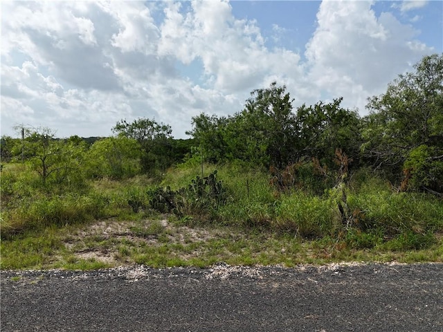 106 Navaho, Sandia, TX 78383