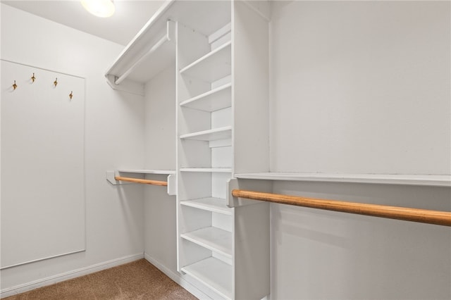 4241 Aaron Cv, Corpus Christi, TX 78413 - walk in closet with carpet flooring