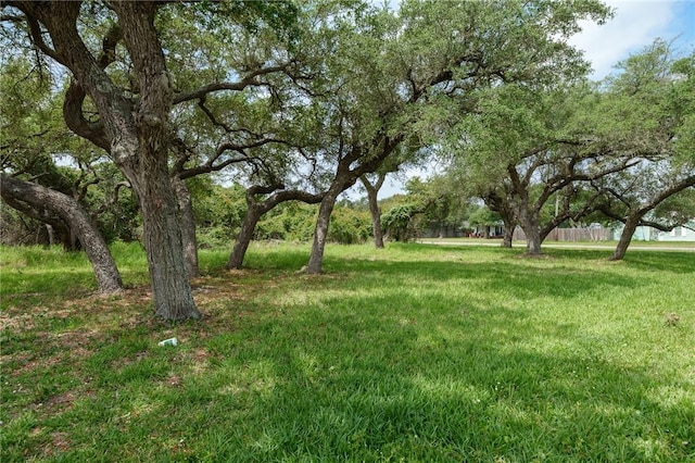 107 W Bay St, Rockport, TX 78382 - photo 5