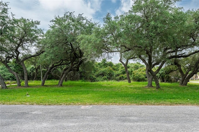 107 W Bay St, Rockport, TX 78382 - photo 3