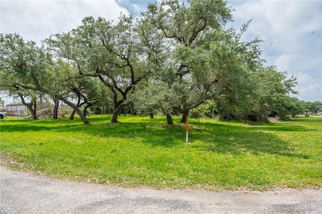 107 W Bay St, Rockport, TX 78382 - photo 6