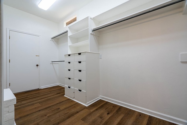 spacious closet featuring dark wood-type flooring