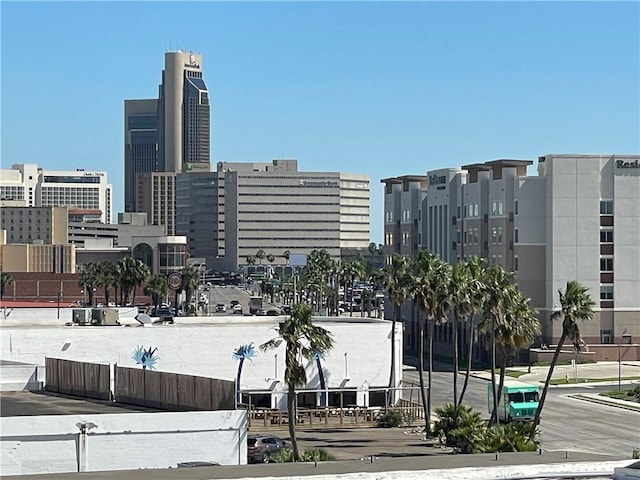 520 S Chaparral St Unit 402, Corpus Christi, TX 78401 - view of city