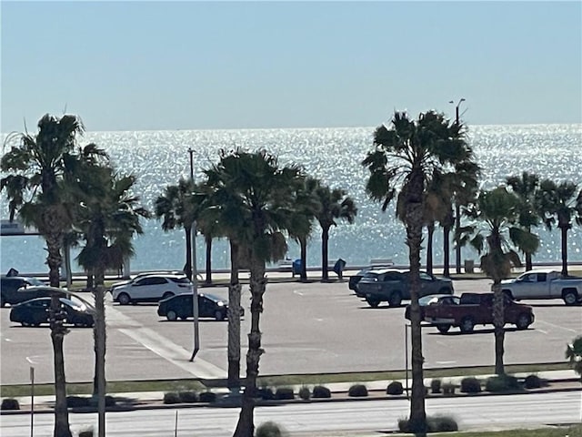 520 S Chaparral St Unit 402, Corpus Christi, TX 78401 - view of community