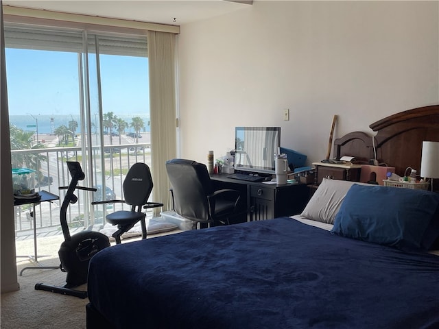 bedroom featuring access to exterior, multiple windows, and carpet flooring