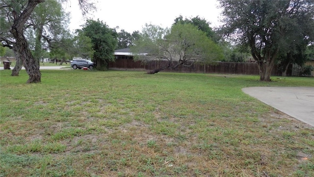 810 S 10th St, Kingsville, TX 78363 - view of yard