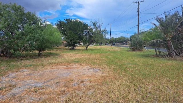 228 E Aislie, Kingsville, TX 78363 - photo 9