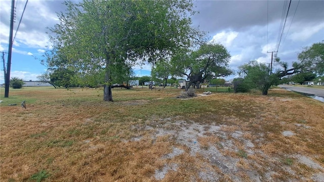 228 E Aislie, Kingsville, TX 78363 - photo 4